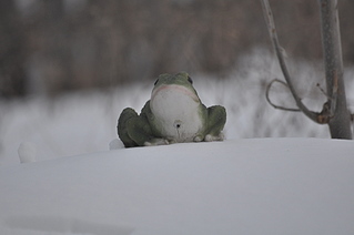 click for enlarge 1920 X 1275 575.4 Kb picture