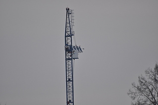 click for enlarge 1920 X 1275 498.0 Kb picture