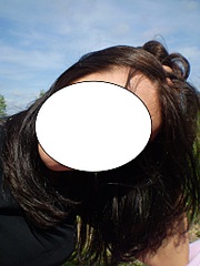 click for enlarge 1536 X 2048 601.2 Kb picture