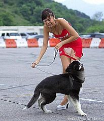click for enlarge 411 X 480 35.2 Kb picture