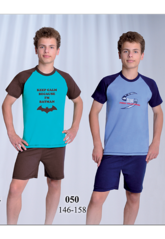 click for enlarge 518 X 750 411.0 Kb picture