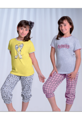 click for enlarge 518 X 750 493.0 Kb picture