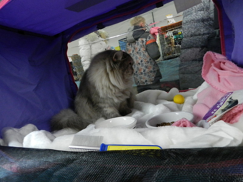 click for enlarge 1920 X 1440 485.8 Kb picture