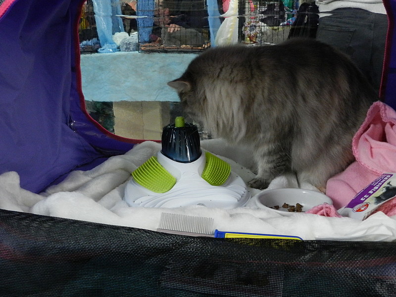 click for enlarge 1920 X 1440 491.3 Kb picture