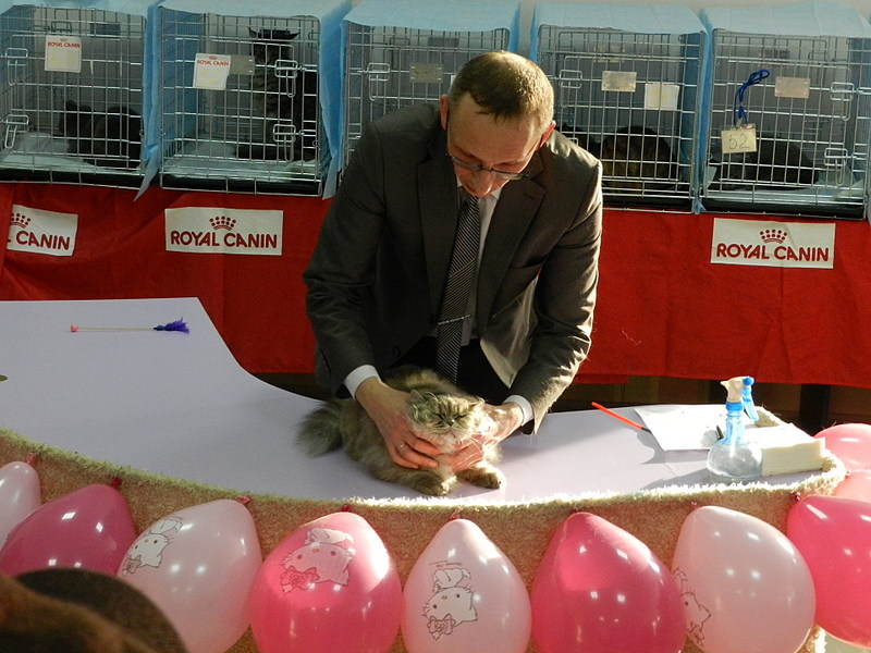 click for enlarge 1920 X 1440 505.5 Kb picture