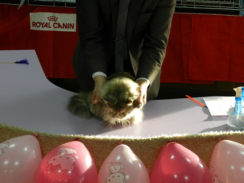 click for enlarge 1920 X 1440 440.2 Kb picture