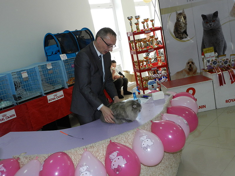 click for enlarge 1920 X 1440 480.4 Kb picture