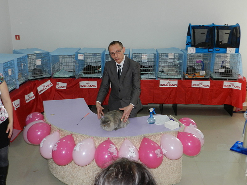 click for enlarge 1920 X 1440 474.4 Kb picture