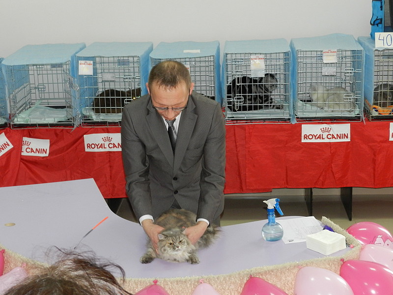 click for enlarge 1920 X 1440 466.2 Kb picture