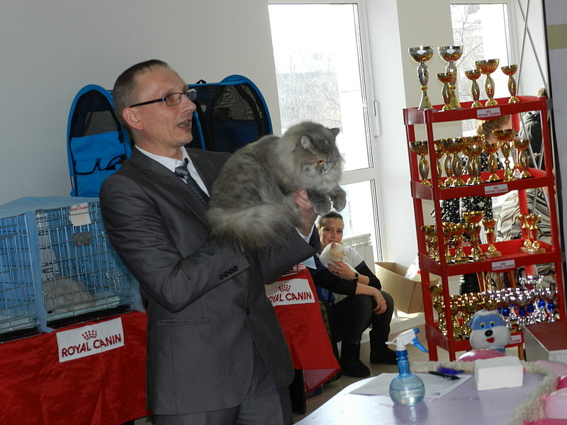 click for enlarge 1920 X 1440 513.7 Kb picture