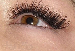 click for enlarge 600 X 406 97.7 Kb picture