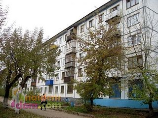 click for enlarge 500 X 375  52.9 Kb picture