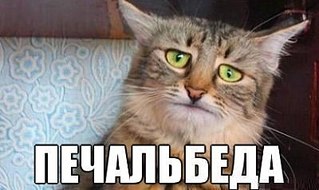 click for enlarge 400 X 238  21.9 Kb picture