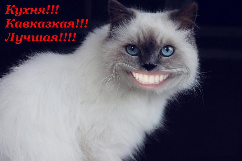 click for enlarge 1475 X 980 123.4 Kb picture