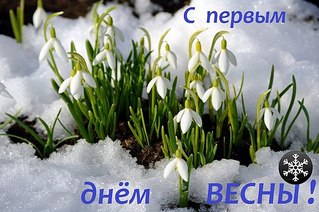click for enlarge 604 X 402 65.2 Kb picture