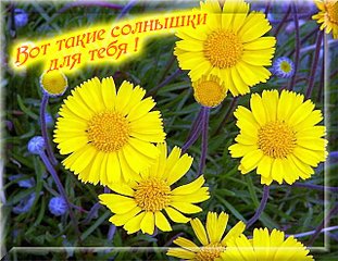 click for enlarge 640 X 493 81.9 Kb picture