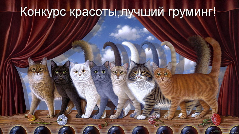 click for enlarge 1920 X 1080 533.7 Kb picture
