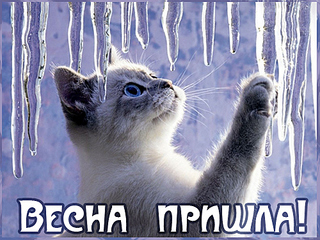 click for enlarge 500 X 375 135.4 Kb picture