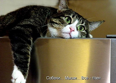 click for enlarge 800 X 578 93.7 Kb picture