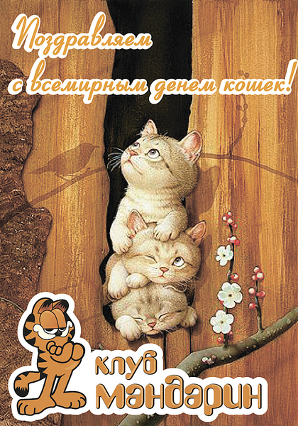 click for enlarge 1400 X 2000 499.5 Kb picture