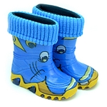 click for enlarge 800 X 800 326.3 Kb picture