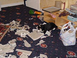 click for enlarge 700 X 525 73.0 Kb picture