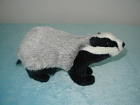 click for enlarge 800 X 600 95.1 Kb picture