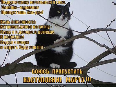click for enlarge 500 X 375  74.4 Kb picture