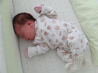 click for enlarge 640 X 480 28.4 Kb picture
