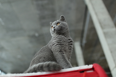 click for enlarge 1280 X 853 657.0 Kb picture