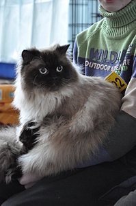 click for enlarge 1920 X 2890 359.7 Kb picture