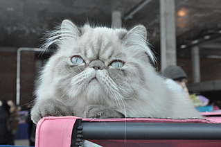 click for enlarge 1920 X 1275 176.2 Kb picture