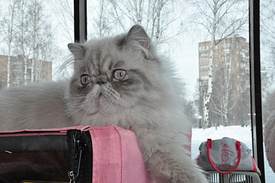 click for enlarge 1920 X 1275 174.1 Kb picture