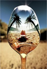 click for enlarge 407 X 600 36.7 Kb picture