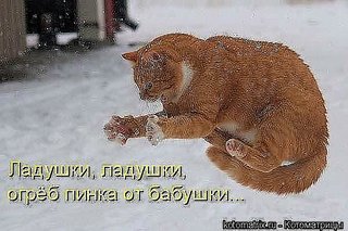 click for enlarge 600 X 400  47.1 Kb picture