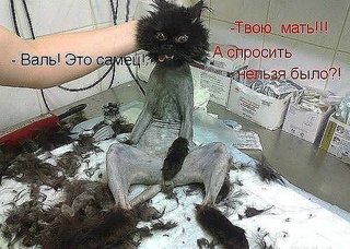click for enlarge 600 X 428  66.8 Kb picture