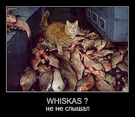click for enlarge 553 X 480  52.3 Kb picture