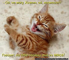 click for enlarge 547 X 480  52.3 Kb picture