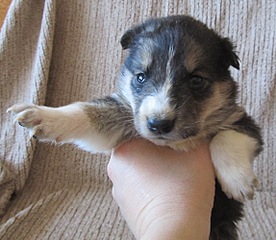 click for enlarge 1148 X 997 251.4 Kb picture