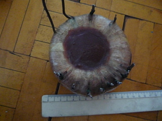 click for enlarge 1920 X 1440 863.9 Kb picture