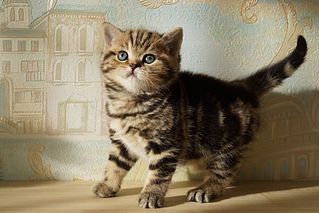 click for enlarge 1600 X 1067 290.7 Kb picture