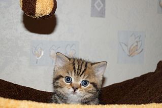 click for enlarge 800 X 533 86.5 Kb picture