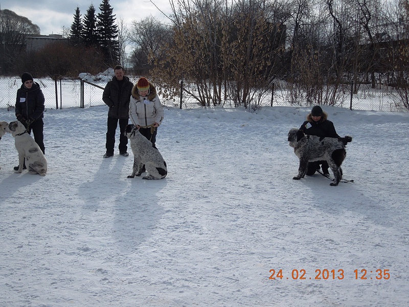 click for enlarge 1920 X 1440 356.3 Kb picture