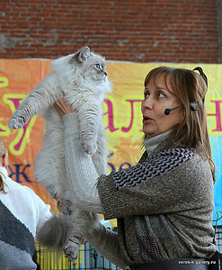 click for enlarge 412 X 500 100.2 Kb picture