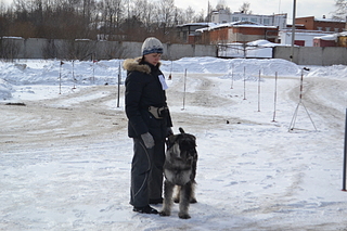 click for enlarge 1920 X 1280 197.3 Kb picture