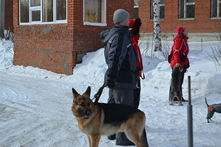 click for enlarge 1920 X 1280 204.7 Kb picture