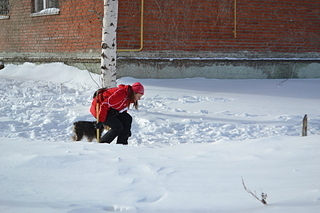 click for enlarge 1920 X 1280 158.3 Kb picture