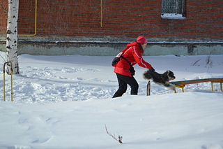 click for enlarge 1920 X 1280 151.9 Kb picture