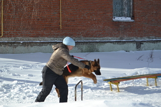 click for enlarge 1920 X 1280 136.6 Kb picture