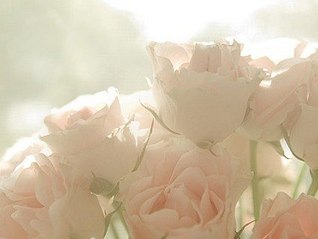 click for enlarge 424 X 319  16.6 Kb picture